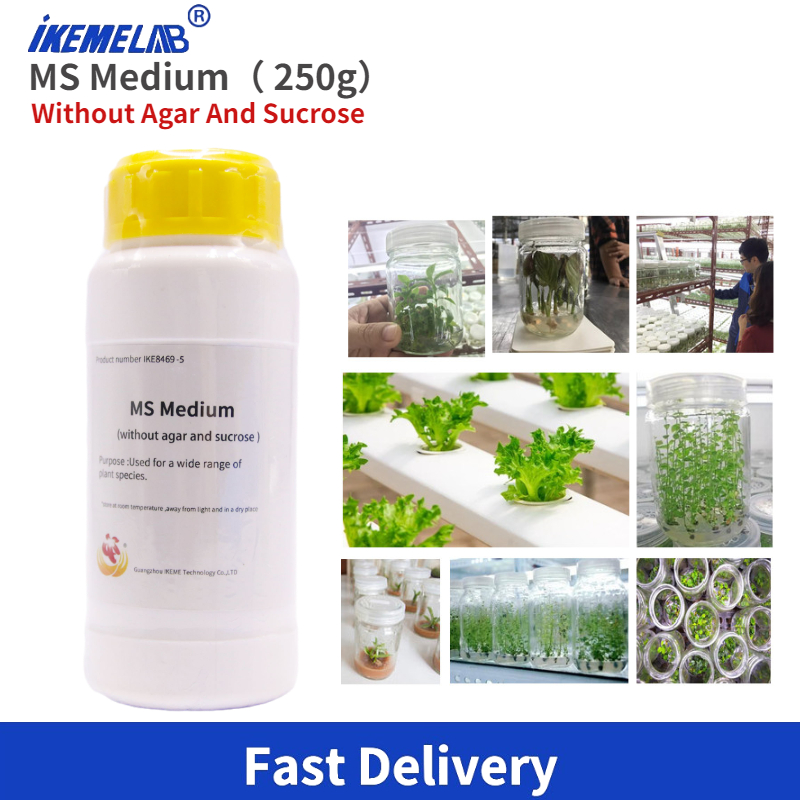 Agar Tissue Culture - IKEME Lab MS Medio 250g Sin