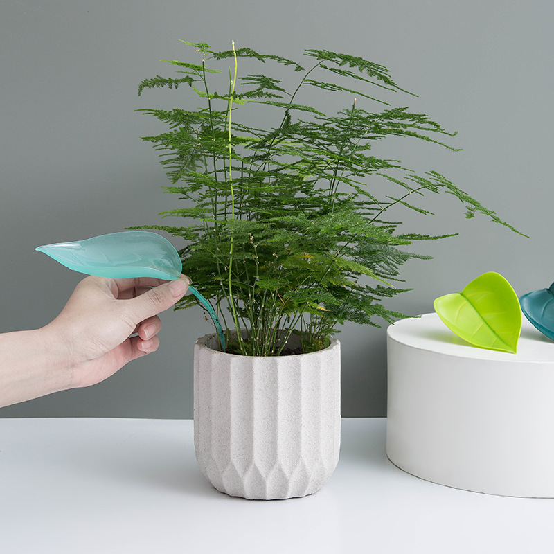 Embudo de riego creativo para  - Self Watering Insert reseña y precio