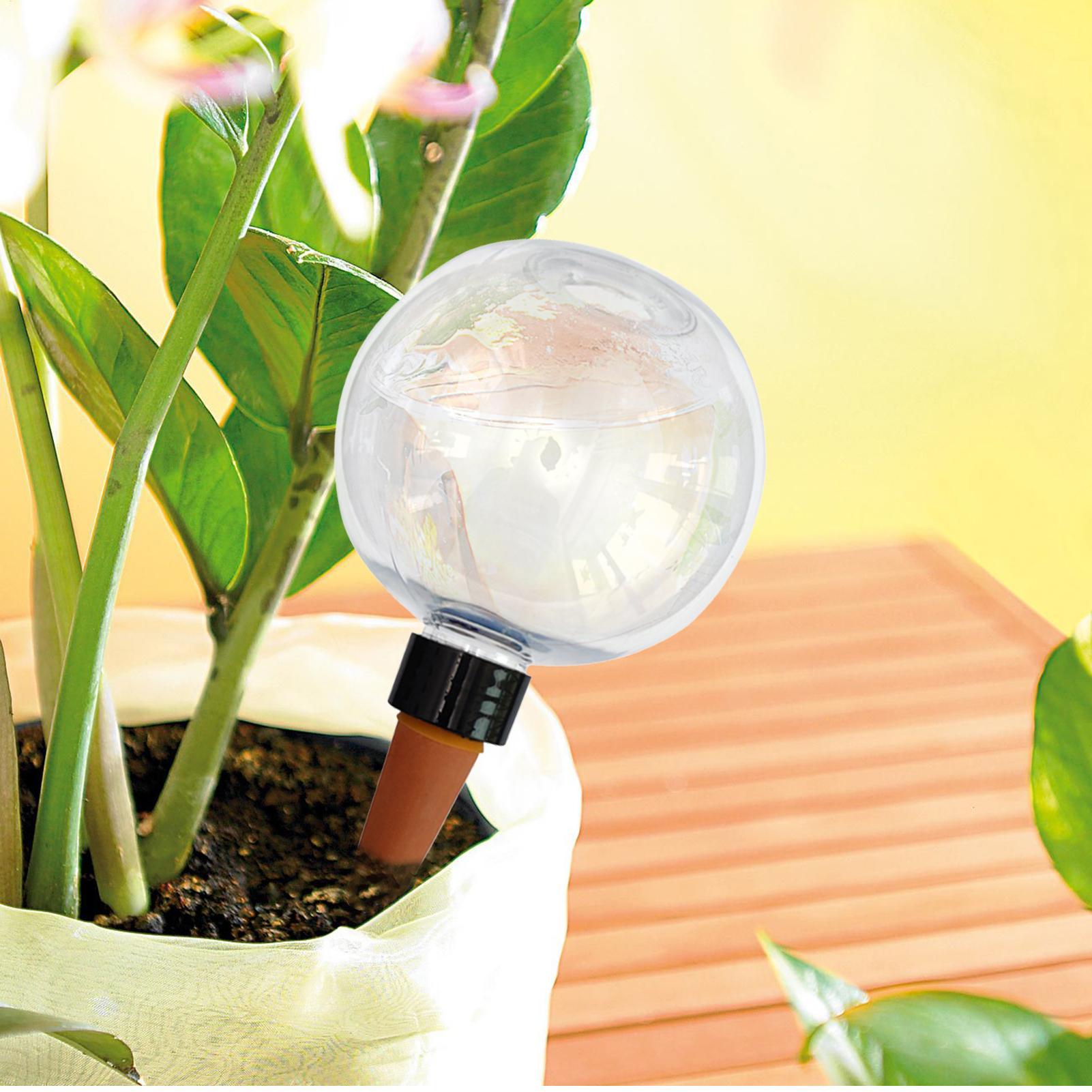 Bombillas de riego automático  - Self Watering Insert reseña y precio